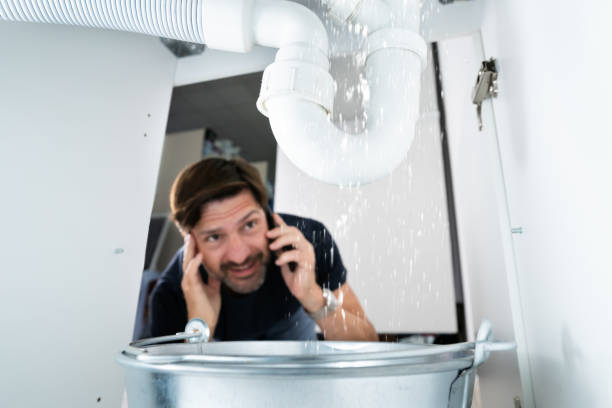 Best Plumbing Repair Near Me  in Thief River Falls, MN