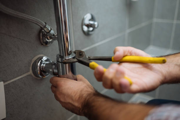 Best Toilet Repair Services  in Thief River Falls, MN