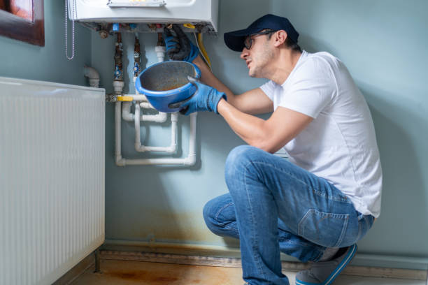 Best Affordable Plumbing Services  in Thief River Falls, MN